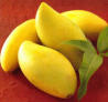Frutas Tropicales Exoticas - Mango