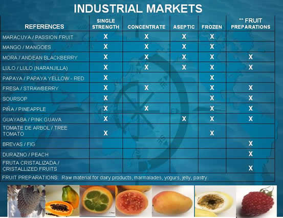 Pulps Concentrates Juices Preparations Compotes Fruit puree
