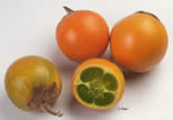 Tropical Exotic Fruits - Lulo