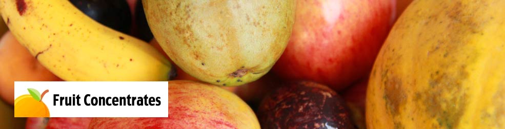 Fruit