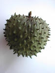 Tropical and exotic fruits - Soursop