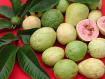 Guava pulps - concentrates - juice preparations