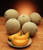 Tropical and exotic fruits - Melon
